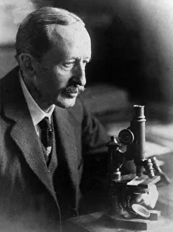 Hematology: James Stephen Ewing, American Pathologist