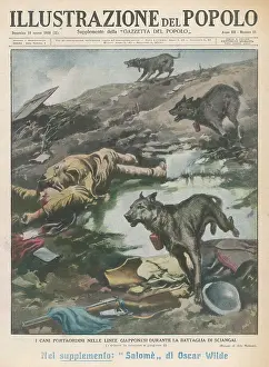 Messengers: JAP MESSENGER DOGS