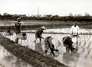 20er: Japan in the 1920th - Rice Planting