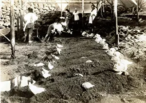20er: Japan in the 1920th - Sand - Therapy
