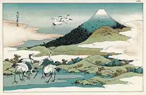 Yedo: JAPAN/FUJIYAMA C1826