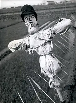 Scarecrow: Japan - Korea - North Korea