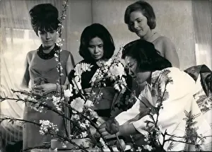 Arrange: Japan - Korea - North Korea