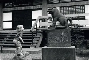 Courtyards: Japan - Korea - North Korea