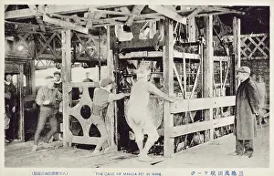 Manda: Japan - The Mitsui Miike Coal Mine - The Manda Pit Cages