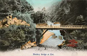 Sep16: Japan - Monkey Bridge in the Kai Province