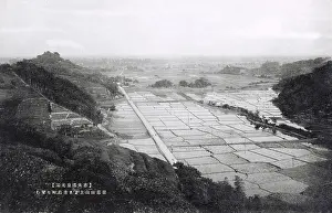 Paddys: Japan - Panoramic view of paddy fields