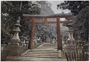 Tori: JAPAN SCENERY/TEMPLE
