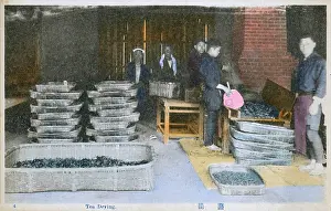 Trays: Japan - Tea Industry - Tea Drying