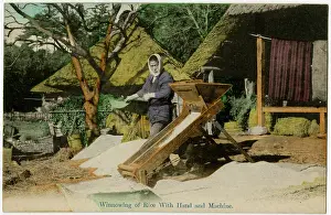 Winnow: Japan - Winnowing the rice by hand and by machine