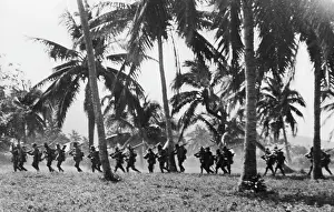 Palms: Japanese advance in Malaysia, 1941