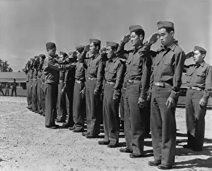 Shelby: Japanese-American soldiers from Hawaii in basic