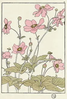 Pochoir: Japanese Anemone