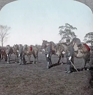 Cavalrymen: Japanese army, cavalrymen with their horses, c.1904
