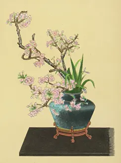 Ikebana: JAPANESE ARRANGEMENT - 1