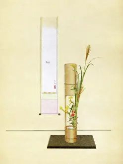 Pampas: JAPANESE ARRANGEMENT -11