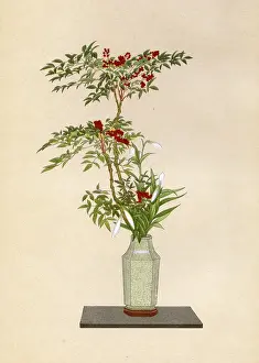 Alcove: JAPANESE ARRANGEMENT -15