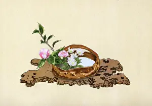Camellia: JAPANESE ARRANGEMENT - 3