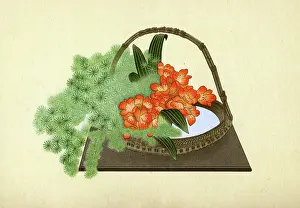Asparagus: JAPANESE ARRANGEMENT - 4