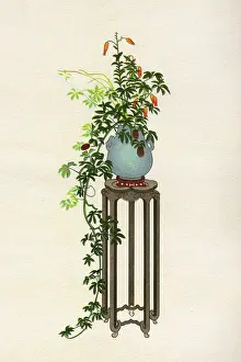 Arranging: JAPANESE ARRANGEMENT - 5