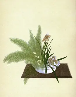 Arranging: JAPANESE ARRANGEMENT - 6