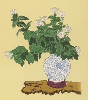 Chrysanthemum: JAPANESE ARRANGEMENT - 8