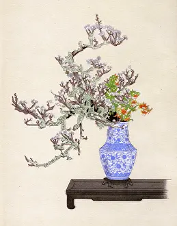 Arranging: JAPANESE ARRANGEMENT - 9