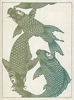Twining: JAPANESE CARP 18C