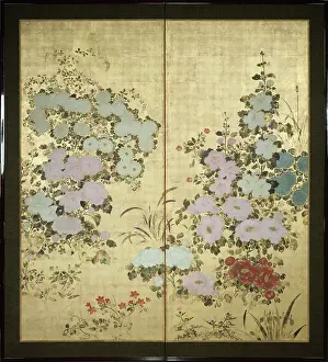 Chrysanthemum: Japanese Chrysanthemum Screen