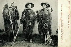Radish: Three Japanese farmers