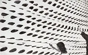 Quantities: The Japanese Flag Being Printed In Large Quantities