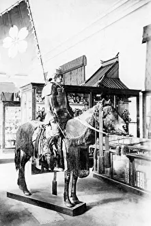 Curiosities: Japanese knight, 1903