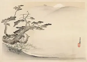 Fuji: Japanese landscape