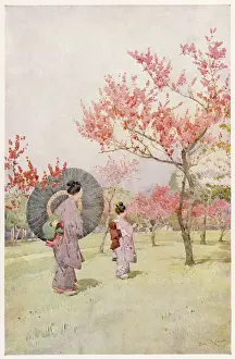 Admiring: Japanese Peach Blossom