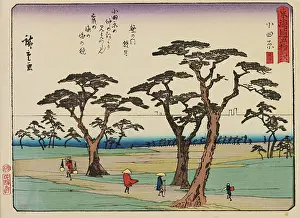 Sparse: Japanese Print