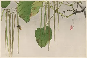 Rests: JAPANESE PRINT - BEE