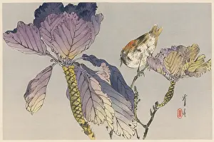 Perches: JAPANESE PRINT - BIRD