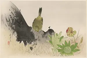 Searches: JAPANESE PRINT - BIRD