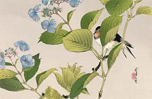 Amid: JAPANESE PRINT - BIRD