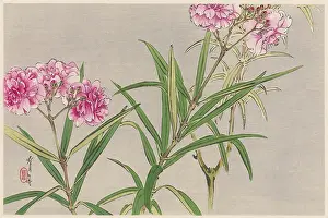 Blooms: JAPANESE PRINT - BLOOMS
