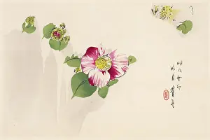 Budding: JAPANESE PRINT - FLOWER