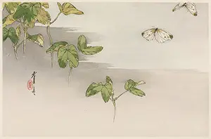 Delicate: JAPANESE PRINT - MOTHS