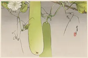 Pods: JAPANESE PRINT-PEA PODS