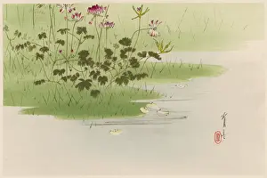 Delicate: JAPANESE PRINT-RIVERBANK