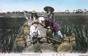 Paddies: Japanese Scene - Labourers take a break in a paddy field