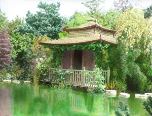 Teahouse: Japanese tea house and pool