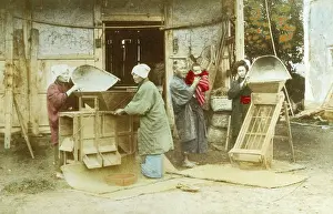 Grains: Japanese women sorting grain