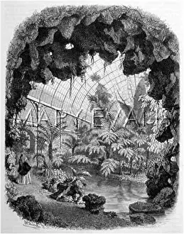 Conservatories: The Jardin d'Acclimatation, Paris