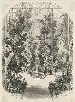 Plantes: Jardin des Plantes, Paris