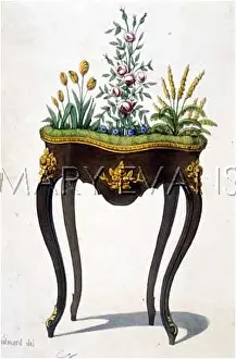 Jardiniere: JARDINIERE C18